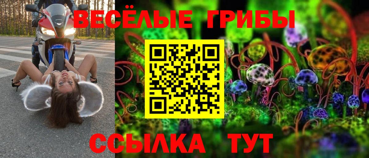 Галлюциногенные грибы Psilocybine cubensis Дедовск